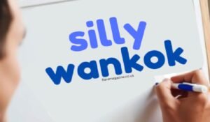 silly wankok